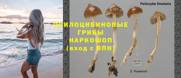 марки lsd Новозыбков