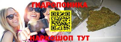 ПСИЛОЦИБИНОВЫЕ ГРИБЫ Краснокаменск