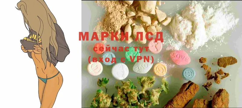 ЛСД экстази ecstasy  наркошоп  Приморско-Ахтарск 