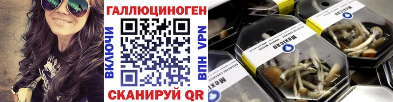 Псилоцибиновые грибы мухоморы  blacksprut зеркало  Приморско-Ахтарск 