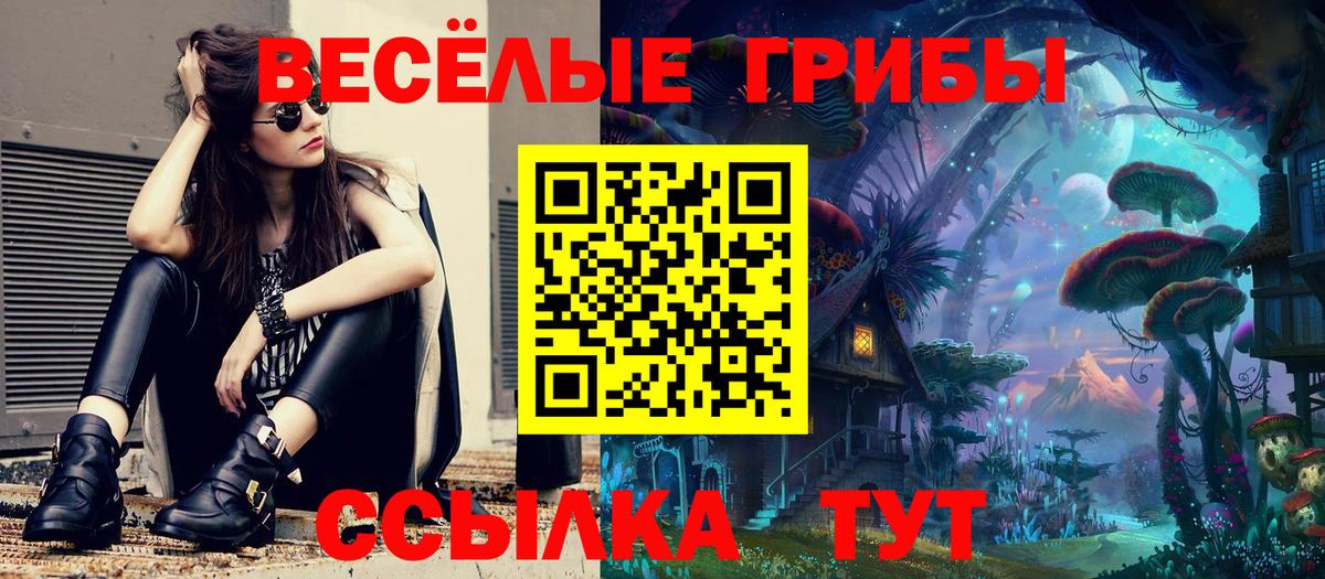 Галлюциногенные грибы GOLDEN TEACHER  Галлюциногенные грибы прущие грибы  Вход с VPN  Приморско-Ахтарск 