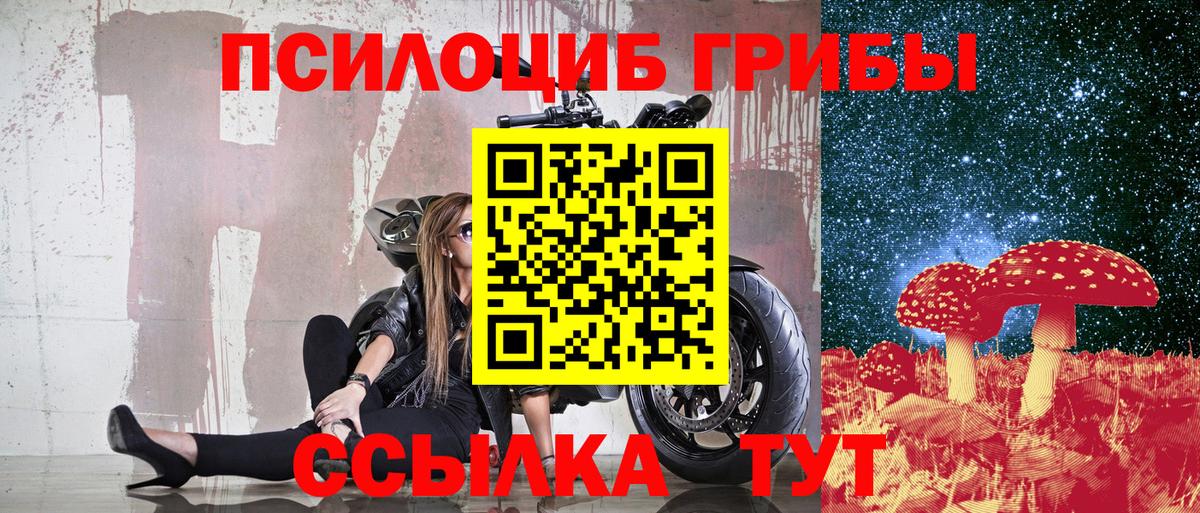 Галлюциногенные грибы GOLDEN TEACHER Приморско-Ахтарск